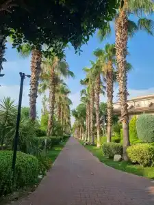 Sunis Elita Beach Resort & SPA - 95