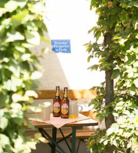 Ambient am Europakanal - 42