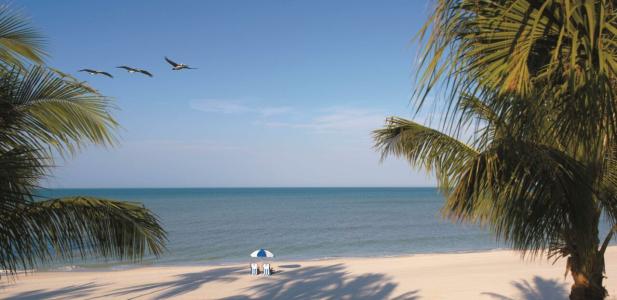 La Playa Beach & Golf Resort, a Noble House Resort - 50