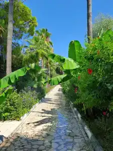 MERİDİA BEACH - 84