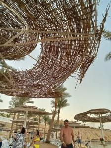 Continental Plaza Beach Resort - 69