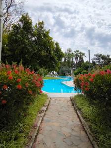 Sherwood Exclusive Kemer - Kids Concept - 69