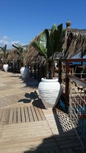 Blue Marlin Deluxe Spa & Resort - 80