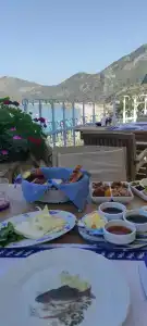 Beyaz Yunus - Adult Only - 16