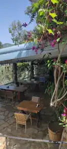 Beyaz Yunus - Adult Only - 55