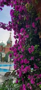 Kremlin Palace - 22