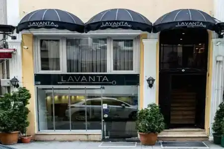 Lavanta - 16