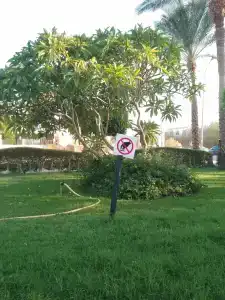 Verginia Sharm Resort & Aqua Park - 54