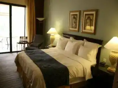 Dead Sea Marriott Resort & Spa - 83