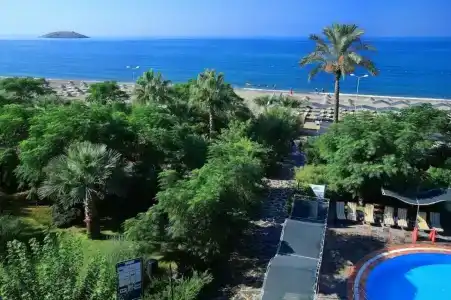 Club Cactus Paradise - 89