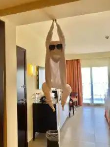 DoubleTree by Hilton Sharks Bay Resort - 94