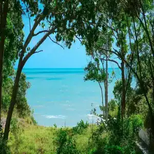 Banyan House Samui bed and breakfast (Adult Only) - 23