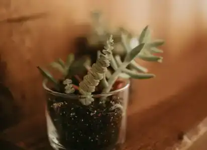 Büyükada Loc'ada - 29