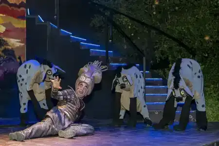 Iz Flower Side Beach - 94