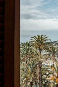 Montesol Experimental Ibiza - 33