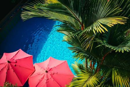 CC's Hideaway Kata - SHA Plus - 14