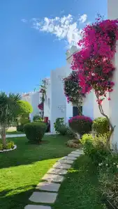 Solymar Naama Bay - 2