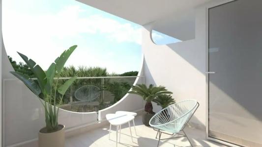 Vibra Palma Cactus - 23