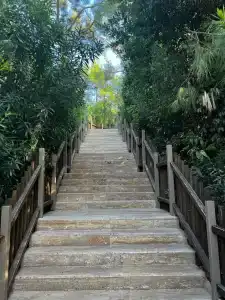 NG Phaselis Bay - 19