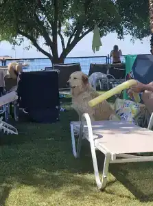 Royal Asarlik Beach - 95