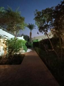 Lotus Bay Resort - 65