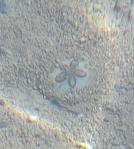 Palm Beach Resort Families and Couples only - 36