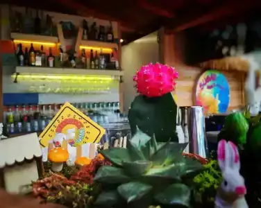 Sugar Beach Club - 37