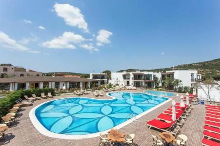 Assos Barbarossa - Special Category - 85