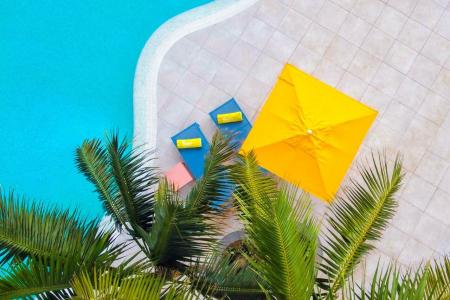 Spring Bitácora - 64