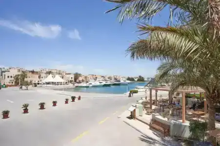 Ali Pasha - 29