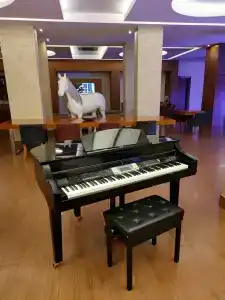 Blue Bay Platinum - 21