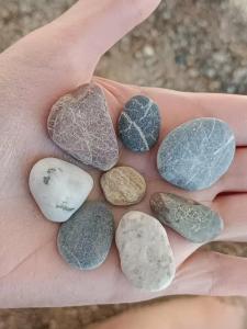 Sealife Buket Resort & Beach - 76