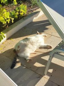 Mandarin Resort & Spa - 99