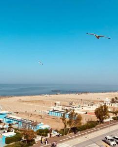 Audi Frontemare - 32