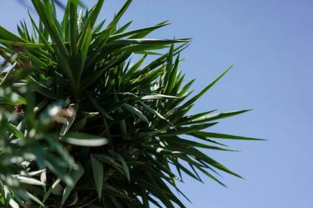 Costa Maya Bodrum - 35