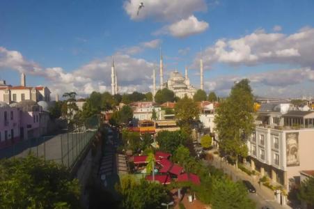 Erguvan - Special Category - 54