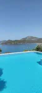 Beyaz Yunus - Adult Only - 24