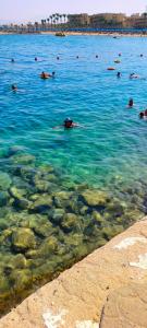 Pickalbatros Aqua Park Resort - 35