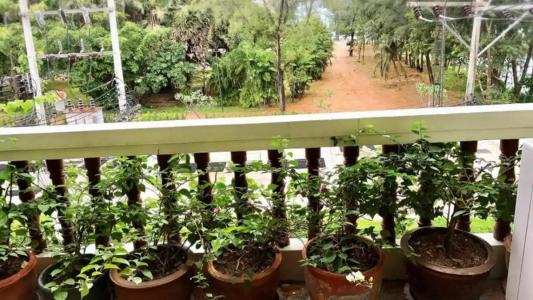 Surin Bay Inn - 41