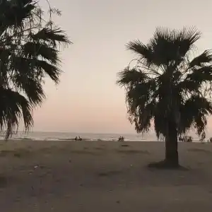 Club Cactus Paradise - 57