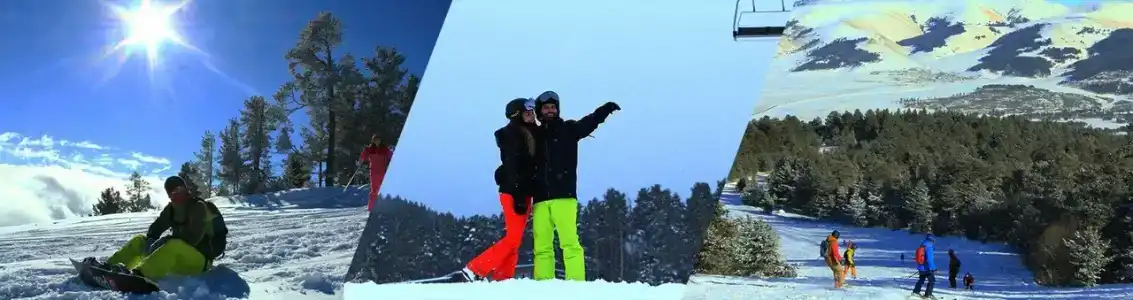 Snowflake Dag & SPA - 2