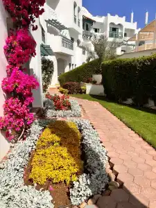 Solymar Naama Bay - 92