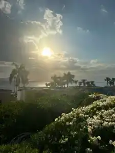 Royal Savoy Sharm El Sheikh - 47