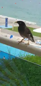 Radisson Blu Resort, Fujairah - 56