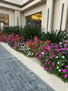 Bellagio Beach Resort & Spa - 96