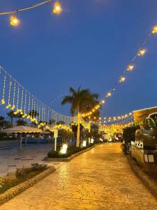 Ali Baba Palace -Families and Couples Only- - 97