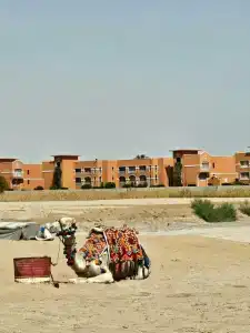 Caribbean World Resort Soma Bay - 86