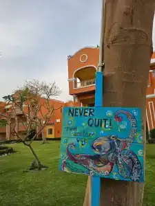 Caribbean World Resort Soma Bay - 91