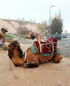 Ürgüp Inn Cave - 16