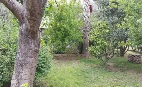 Ayris Çıralı - 37